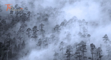 Kotdwar Tour Package